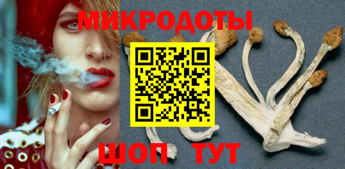 Волжск  Псилоцибиновые грибы прущие грибы  Вход с VPN 